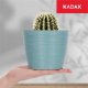Kadax Doniczka Osłonka Na Kwiaty Owalna Zielona 13 cm 4