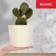 Kadax Doniczka Osłonka Na Kwiaty Okrągła Kremowa 15 cm 3