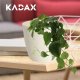 Kadax Doniczka Osłonka Na Kwiaty Okrągła Kremowa 15 cm 4