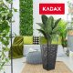 Kadax Doniczka Donica Wkład Osłonka Kwiaty Antracyt 56cm 1