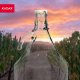 Kadax Gąsior Balon 5L Dama Butelka Na Wino W Koszu 3szt 4