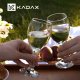 Kadax KADAX Kieliszki Do Wina Białego 200ml Zestaw 6szt 2