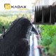 Kadax KADAX Kruk Odstraszacz Ptaków +Kolce Na Ptaki 6szt 5