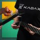 Kadax KADAX Kruk Odstraszacz Ptaków +Kolce Na Ptaki 6szt 7