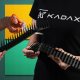 Kadax Plastikowe Kolce Na Ptaki Gołębie Gęste 6szt 3,06M 8