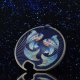 Kadax Otwieracz Stalowy Do Butelek Kapsli Zodiak Ryby 1