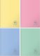 Herlitz ZESZYT A5/60 # ECO PP PASTE FSC 5S 1