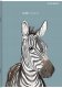 Top 2000 Zeszyt Top 2000 Sweet Animal A5/16k kratka 5