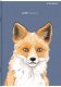 Top 2000 Zeszyt Top 2000 Sweet Animal A5/16k kratka 6