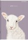 Top 2000 Zeszyt Top 2000 Sweet Animal A5/60k kratka 4