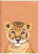 Top 2000 Zeszyt Top 2000 Sweet Animal A5/80k kratka 1