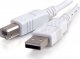 Kabel USB C2G USB-A - USB-B 3 m Biały (81562) 1