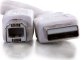 Kabel USB C2G USB-A - USB-B 3 m Biały (81562) 4