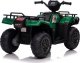 Lean Cars Quad Na Akumulator JC915 Zielony 24