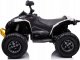 Lean Cars Quad Na Akumulator CAN-AM Renegate Biały 4