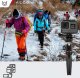 Alogy Uchwyt na telefon Alogy Mini Tripod Trójnóg Liginn do robienia zdjęć do telefonu kamery GoPro lampy ring 1/4 Czarny 6