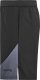 Thorn+Fit Spodenki treningowe THORN FIT SWAT 2.0 LOGO S 2