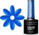 Activeshop CLARESA Lakier hybrydowy Full of colours 7 -5g 1