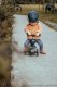 Hulajnoga Scoot and Ride Scoot and Ride Highwaykick 1 Lifestyle 2w1 jeździk i hulajnoga z zamykanym schowkiem, od 1-5 lat, kolor: Zebra 7