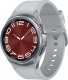 Smartwatch Samsung Galaxy Watch 6 Classic Stainless Steel 43mm Szary  (SM-R950NZSAEUE) 1
