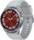 Smartwatch Samsung Galaxy Watch 6 Classic Stainless Steel 43mm LTE Szary  (SM-R955FZSAEUE) 1