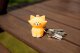 InnoGio INNOGIO-151-GIOKEYRING CAT 3