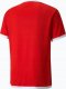Puma Koszulka męska Puma teamLIGA Jersey czerwona 704917 01 L 1