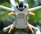 SunnyLife Nóżki Nogi Podwozie Do Lądowania Dla Drona Dji Mini 3 / Mm3-lg551-gy 6