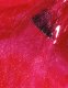 OPI Opi, Infinite Shine 2, Nail Polish, ISL N84, Strawberry Waves Forever, 15 ml Unisex 4