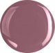 All Tigers Nail Polish 108 Embrace The Change 11 ml For Women 3