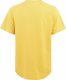 Thorn+Fit Koszulka T-shirt z krótkim rękawem THORN FIT Odin 2.0 mustard S 1