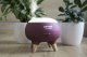 Dyfuzor zapachowy Concept Dyfuzor zapachu Concept Perfect Air Berry DF1011 4