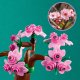 LEGO Friends Ogród botaniczny (41757) 2