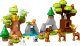 LEGO Duplo Dzikie zwierzęta Europy (10979) 8