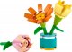 LEGO Friends Kwiaty przyjaźni (30634) 2