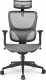 Fotel Sharkoon OfficePal C30 szary 1