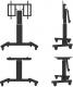 Neomounts Stojak podłogowy PLASMA-M2500TBLACK 42'' - 100'' 1