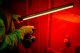 Newell NEWELL Lampa LED RGB Kathi Pro 9