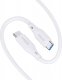 Kabel USB Ricomm USB-C - USB-C 1.2 m Biały (RLS304CCW) 2
