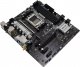 Płyta główna Biostar A620MP-E PRO 2