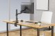 Neomounts Uchwyt biurkowy na monitor 17" - 27" (DS60-425BL1) 17