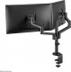 Neomounts Uchwyt biurkowy na 2 monitory 17" - 27" (DS60-425BL2) 5
