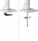 Neomounts Uchwyt biurkowy na 2 monitory 17" - 27" (DS75S-950WH2) 13