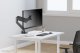 Neomounts Uchwyt biurkowy na monitor 17" - 49" (DS70PLUS-450BL1) 16