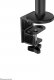 Neomounts 11.6-17.3" (DS20-425BL1) 13