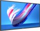 Monitor Philips Q-Line 43BDL3650Q/00 1
