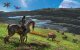 Gra PlayStation 5 Avatar Frontiers of Pandora 6