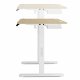 Biurko SENSE7 elektryczne Nojo 120x60 White Pine 3