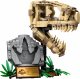 LEGO Jurassic World Szkielety dinozaurów — czaszka tyranozaura (76964) 7