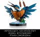 LEGO Icons Zimorodek (10331) 2